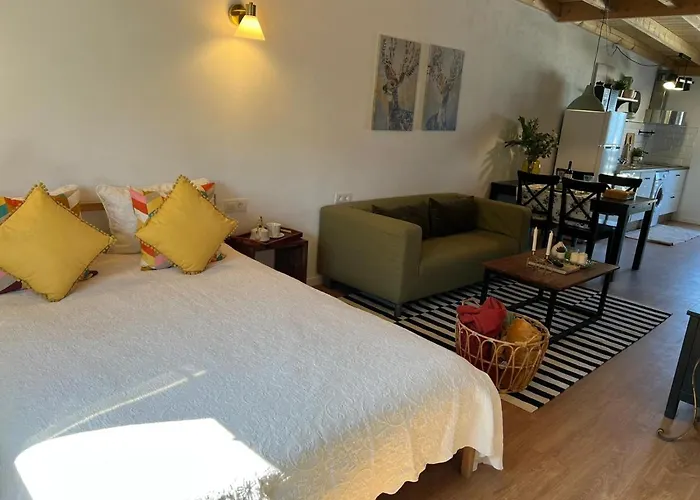 Casa Chano Estudio Confortable Tenerife 公寓 伊科德·德·洛斯·维诺斯